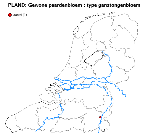 ganstongenbloem
